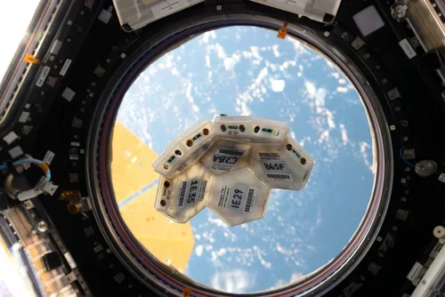 TESSERAE tiles in microgravity aboard the International Space Station